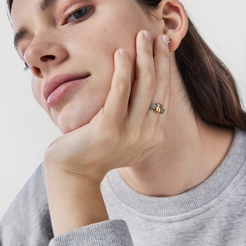 Gold and Steel Icon Mesh Ring
